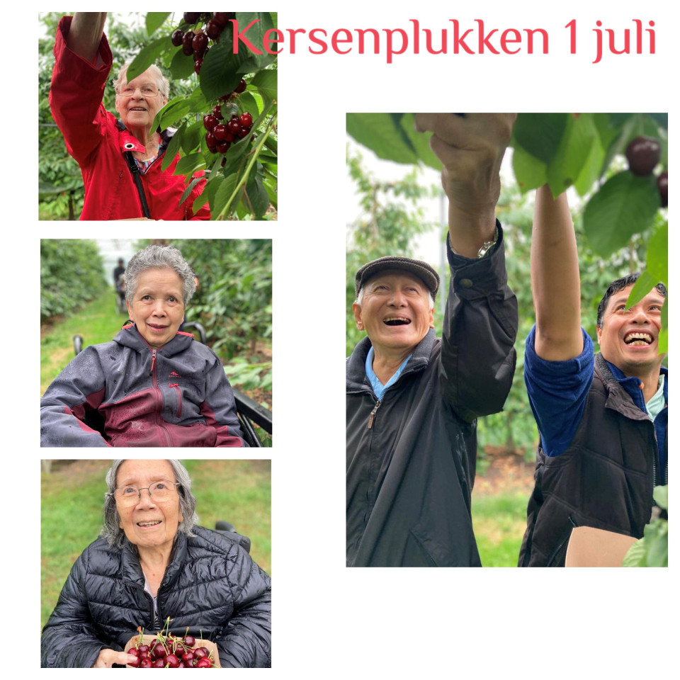 Kersenplukken 1 juli.1920x0